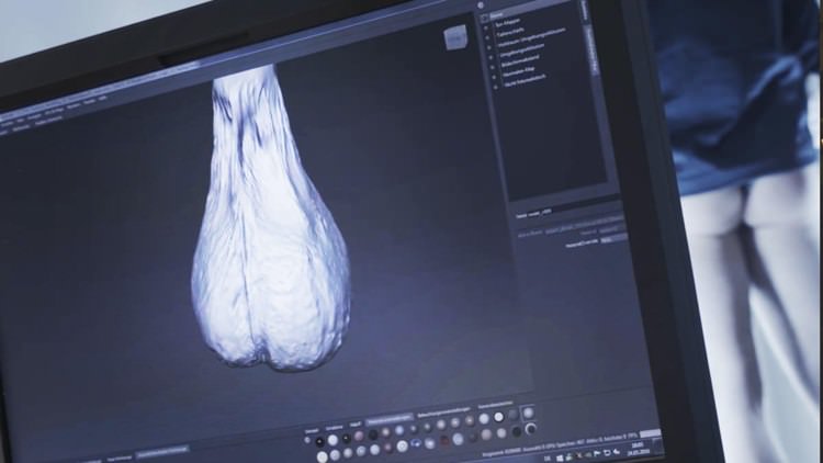 Der 3D-Scan wird genau unter die Lupe genommen.